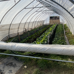 High Tunnel Temperature Regulator